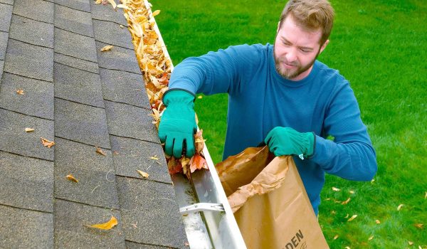 gutter cleaning